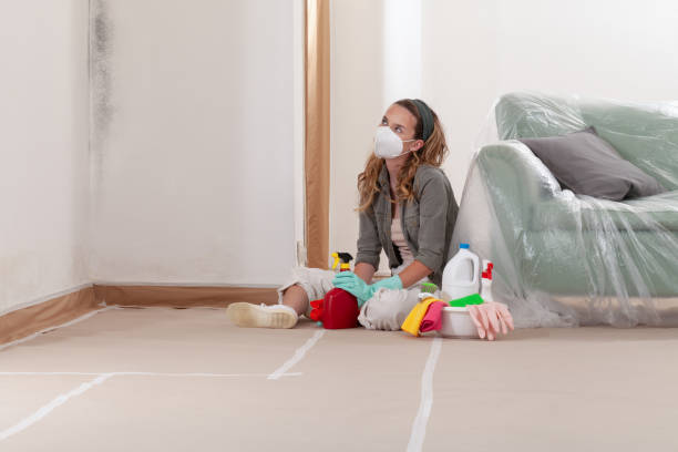 Reliable Commercial Mold Remediation contractor in Manchester Township, NJ by 24 Hour Mold Removal